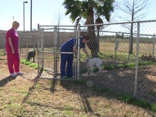 Welcome to Veterinary Medical Center of Gulf Coast