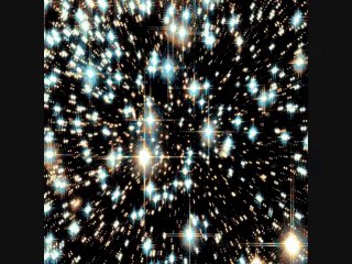 Vous permettez, Madame ?  LYRICS (EL TANGO ROXANE)