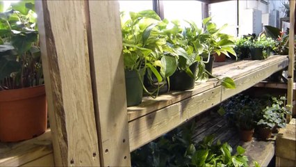 Interior Landscaping Products