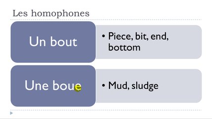 Learn French #Unit 11 #Lesson C = Les homophones