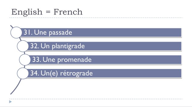 Learn French #Unit 12 #Lesson S = Identical words in English and in French =ADE=