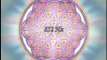 The Miracle of 528 Hz Solfeggio and Fibonacci numbers