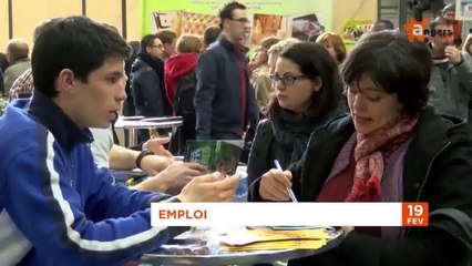 JT FEVRIER 2014 [S.2] [E.13] - Le Journal du mercredi 19 février