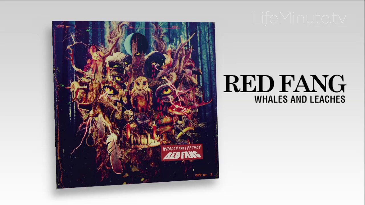 Hardcore Rockers Red Fang Join Forces with Fred Armisen