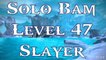 Tera: Solo BAM ( Icecleaver Giant ) - Level 47 Slayer