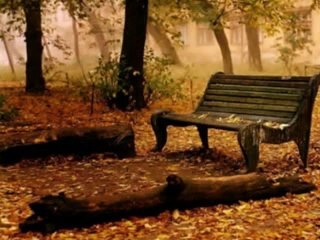 Seni Görmeyen Gözü Neyleyim Ya  Resulallah