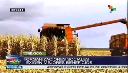 Sectores sociales de México exigen revisión a fondo del TLCAN