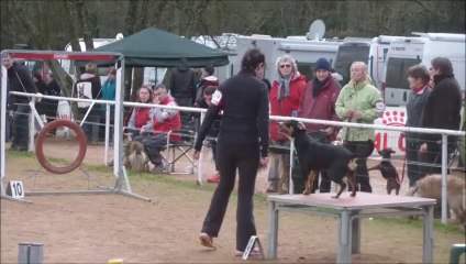 Eidi 3ème degré Concours de cholet 02-2014