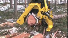 Amazing Timber Cutting Machine from Hell