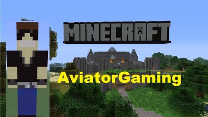 Minecraft Pixel Art: AviatorGaming Tutorial