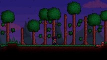 Terraria : How To Get A Pet!  - Obsidian Mod
