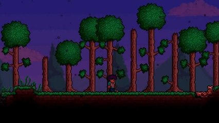Terraria : How To Get A Pet!  - Obsidian Mod
