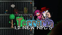 Terraria 1.2 - PIRATE NPC, PARTY GIRL NPC AND MLP REFERANCE