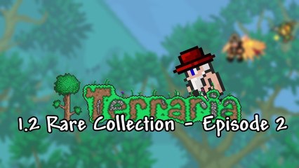 Terraria 1.2 - Rare Collection - Episode 2 - PC 1.2 Gameplay  - ChippyGaming