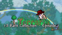 Terraria 1.2 - Rare Collection - Episode 1 - PC 1.2 Gameplay  - ChippyGaming