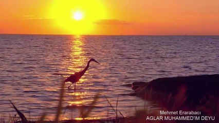 Mehmet Erarabacı - Ağlar Muhammed'im Deyu (İlahi HD)