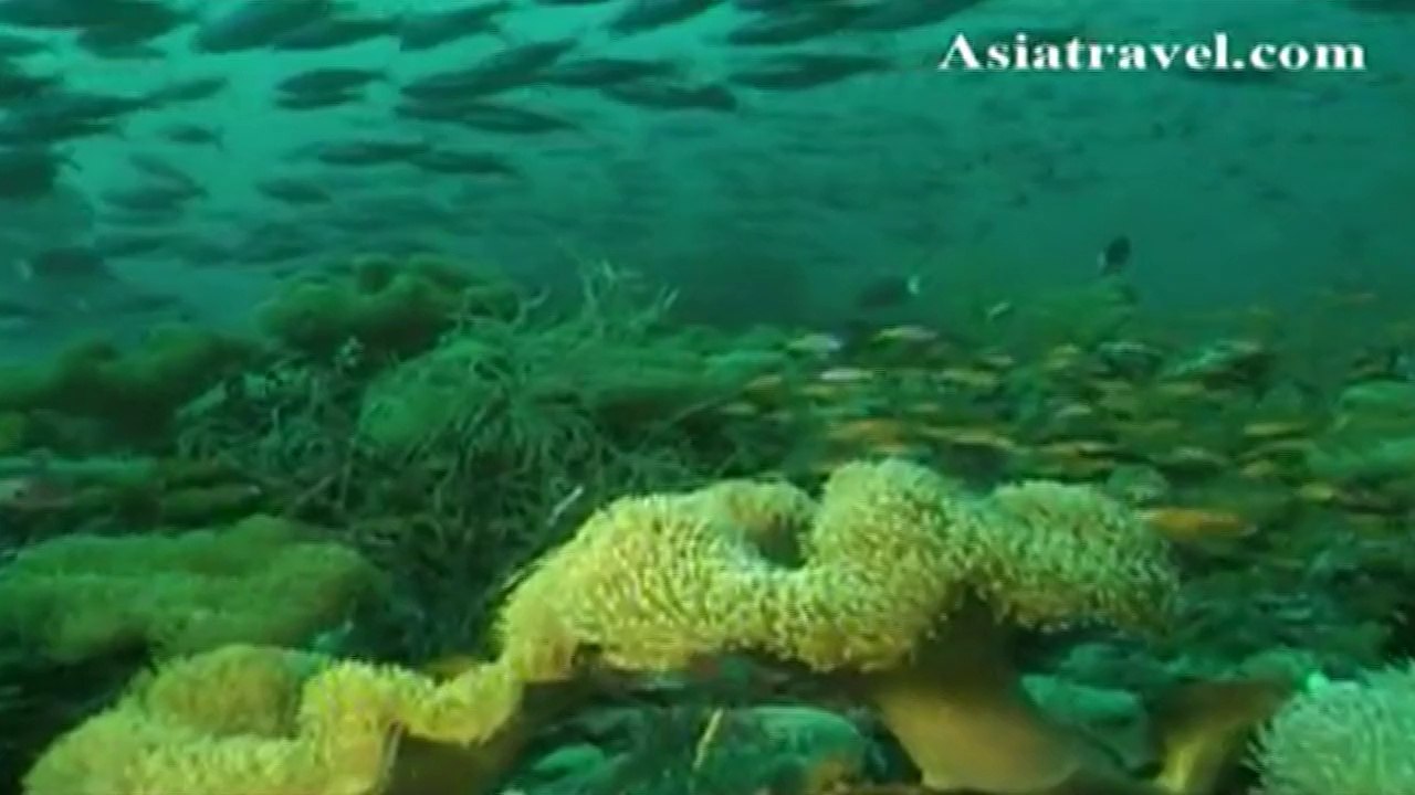 Paradise Island Resort, Maldives by Asiatravel.com