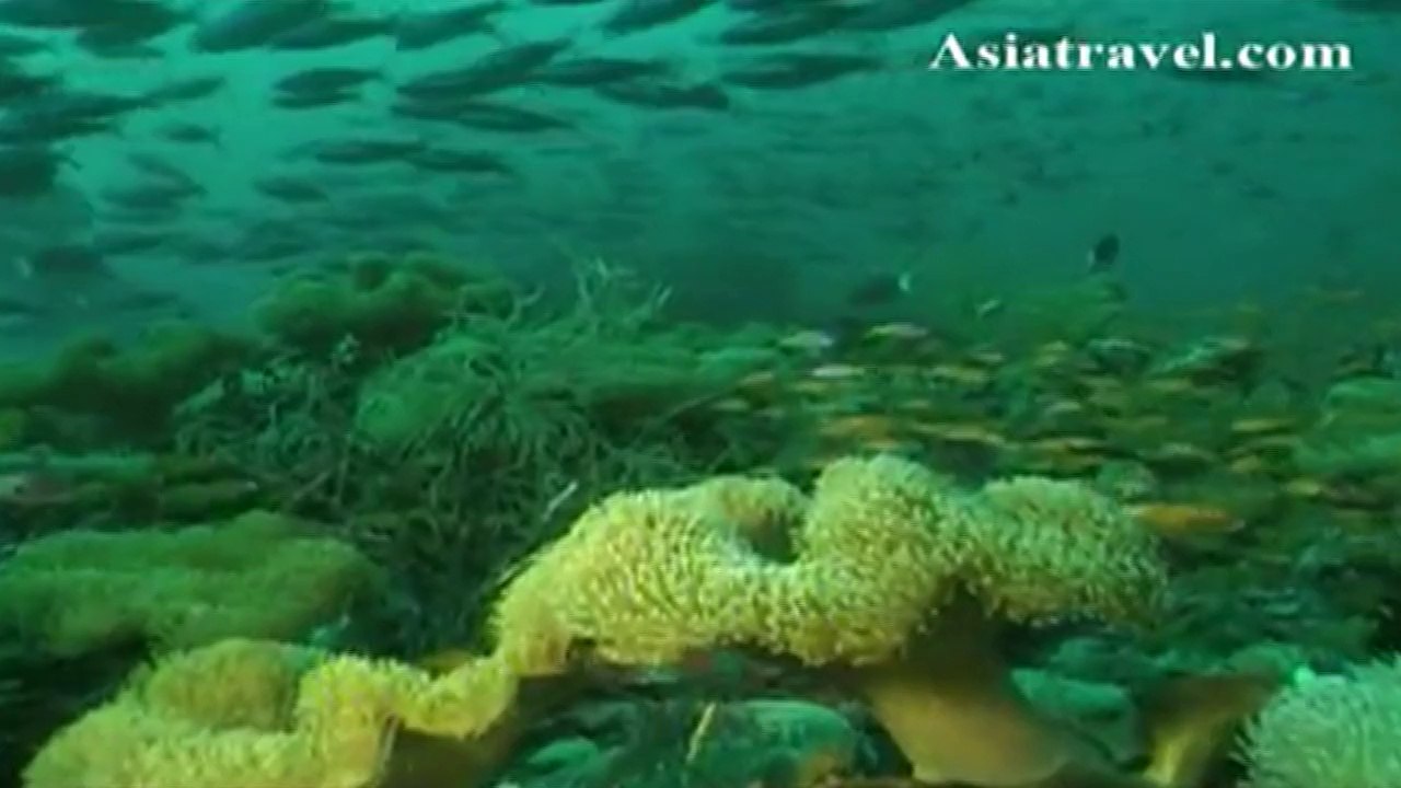 Paradise Island Resort, Maldives by Asiatravel.com