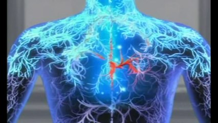 Spiritual Reality - How to Access Super Consciousness English HD Version