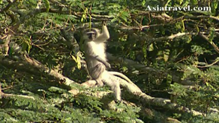 Zimbali Lodge Resort South Africa by Asiatravel.com