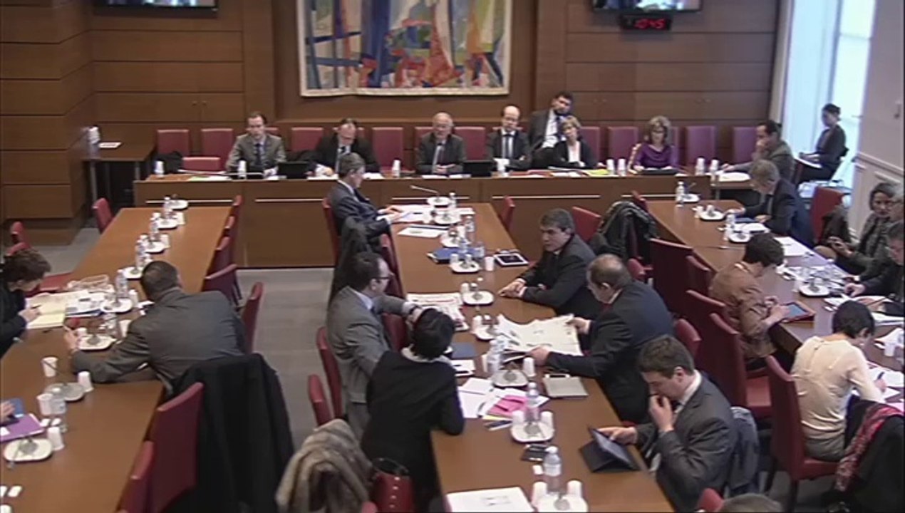 Audition de M. Ambroise Fayolle, Dg de France Trésor - Mercredi 19 Février 2014