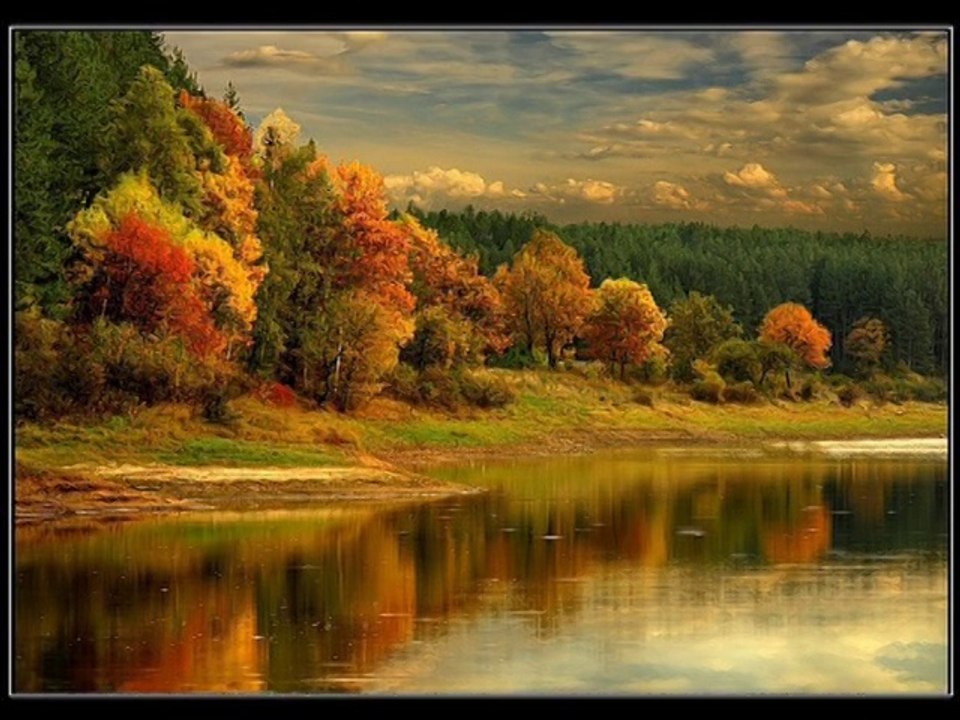 Скажи Председатель