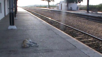 Thatta Railway Station Jung Shahi Thatta Video