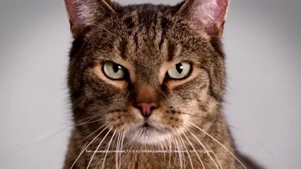 Mercedes-Benz TV_ CLA TV commercial _Cat_