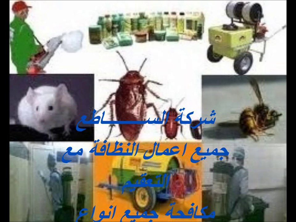 شركة مكافحة البق بالرياض 0562823307 مكافحة حشرات
