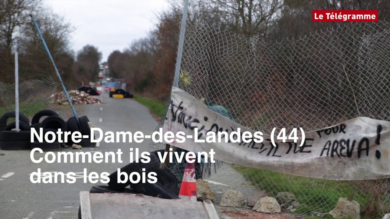 Notre-Dame-des-Landes (44). Comment ils vivent dans les bois
