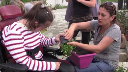 A la découverte  du jardin des fleurs