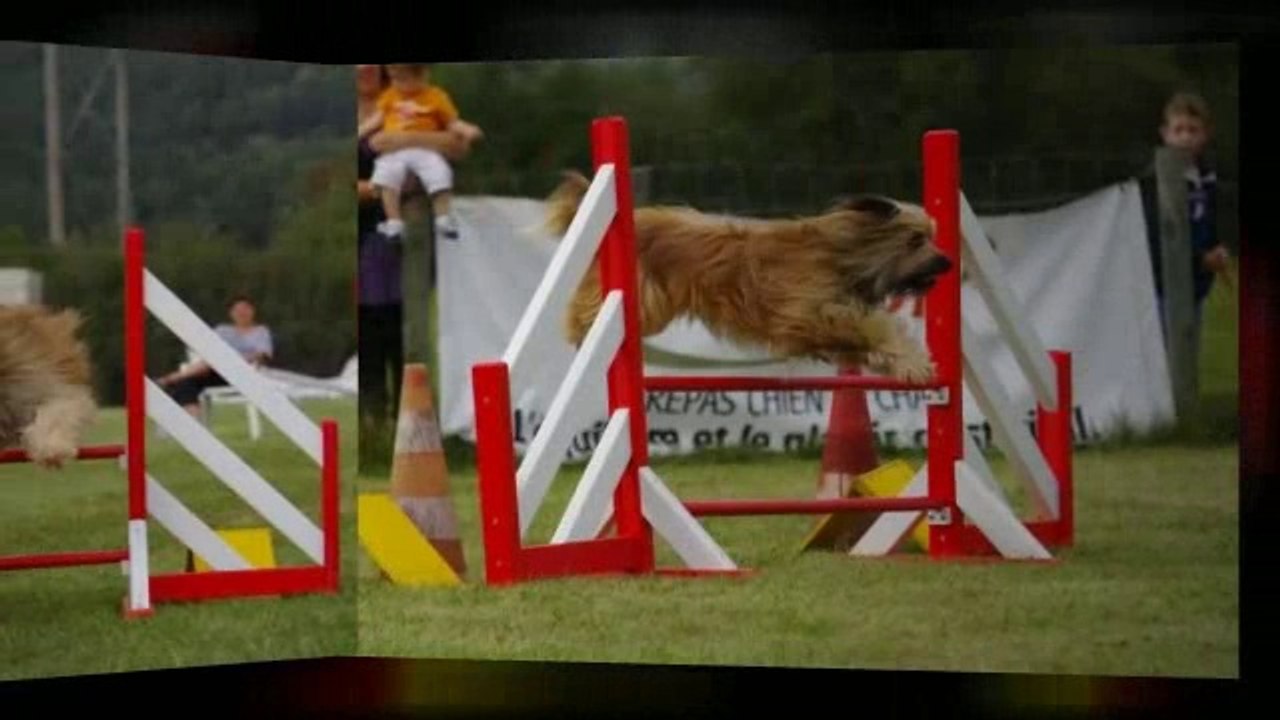 ETERLOU dit "ELTON"