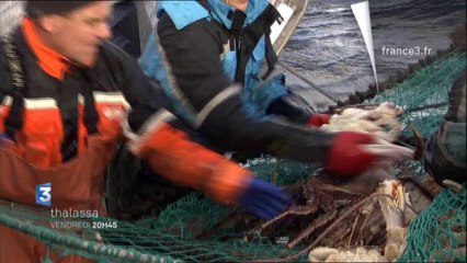 SCANDINAVIE, ESCALES NORDIQUES