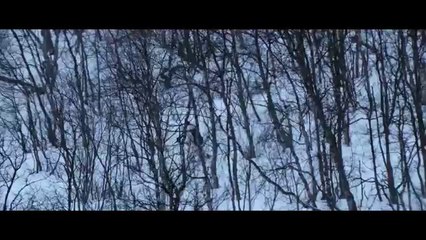 Ibrahimovic (PSG) fait campagne pour Volvo