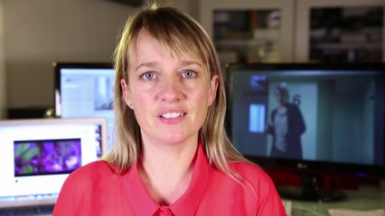 STEM - Indiegogo short film campaign video