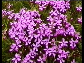 Autour du Gd Ferrand