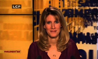 Parlement’air - L’Info : Danielle Auroi – Députée écologiste du Puy-de-Dôme