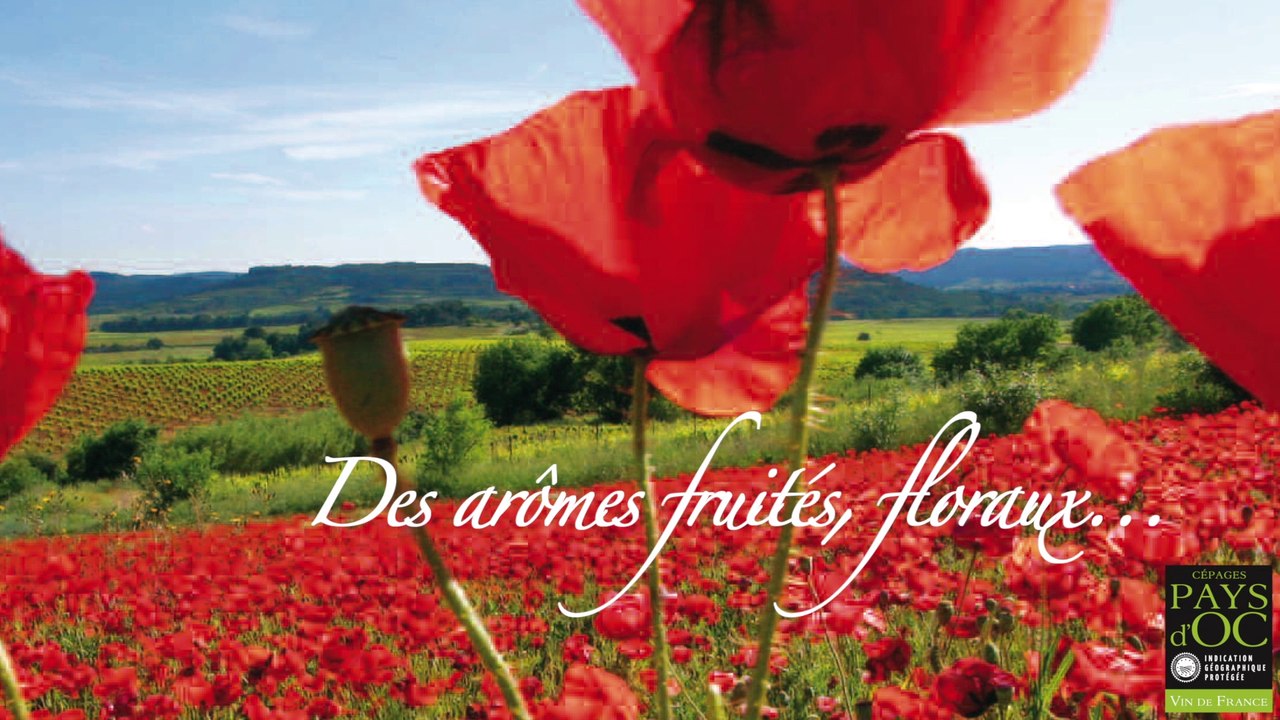 Pays d'Oc IGP - Spot Radio 3 - Maison