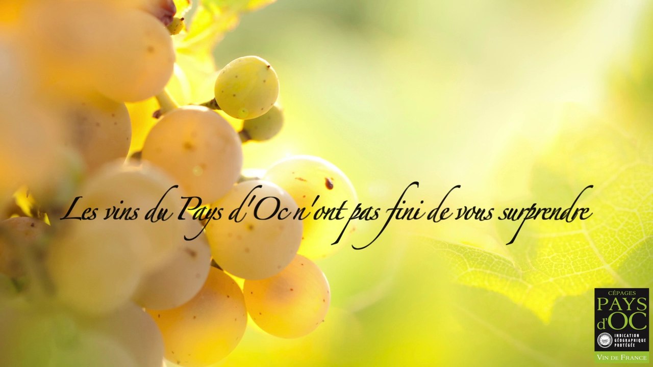 Pays d'Oc IGP - Spot Radio 4 - Grande distribution