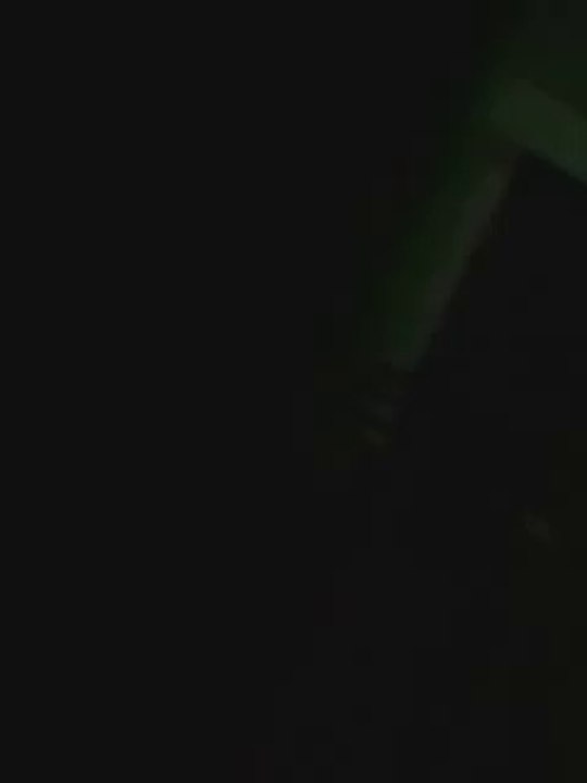 AUDIO SCADY  :  DIEUDONNE ET LA DISSIDENCE LACOSTE