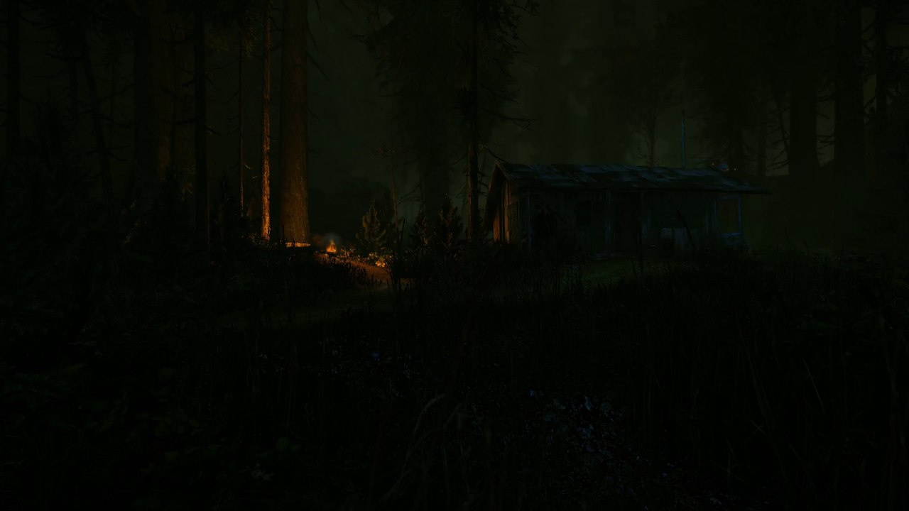 Grafiktest: The Cursed Forest (1080p nativ)