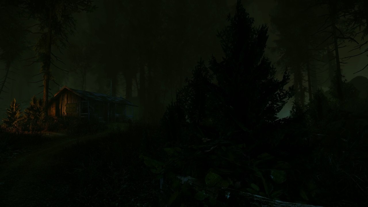 Grafiktest: The Cursed Forest (1440p nativ)