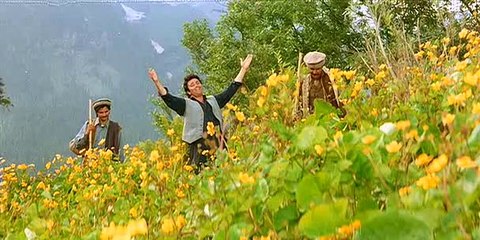 Janay wale o jane wale