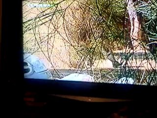 τα μυστικα τησ εδεμ