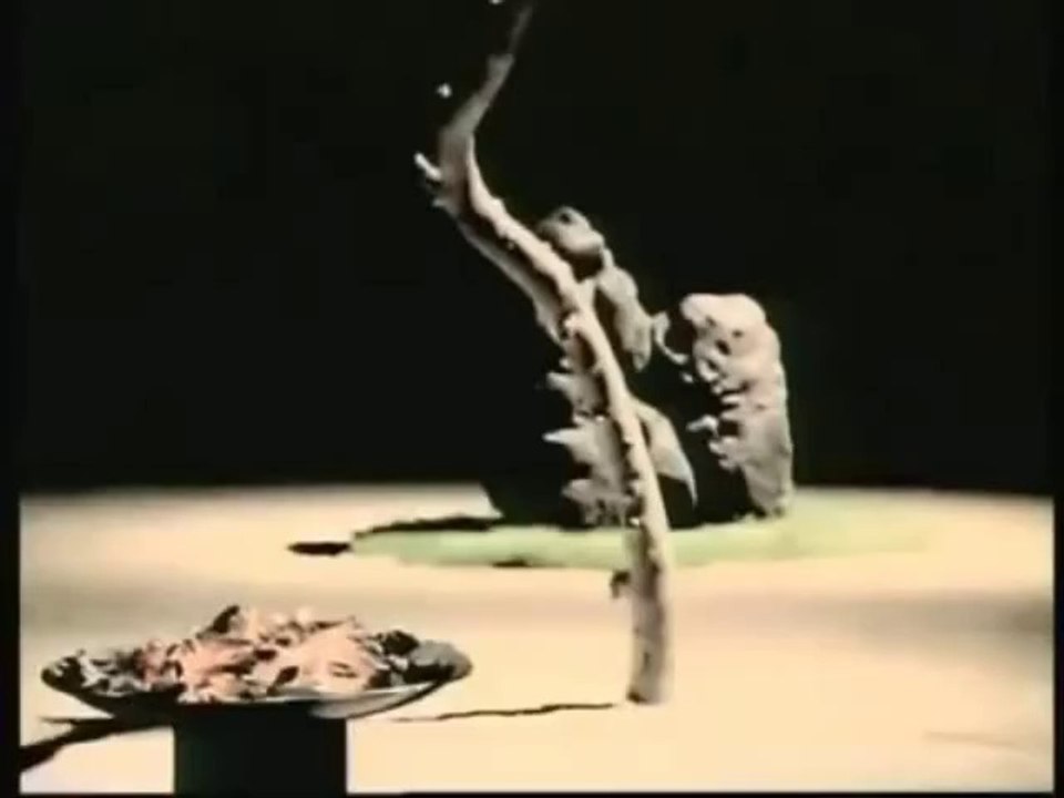 Stephan EICHER - Déjeuner en paix ( reprise ) 2014