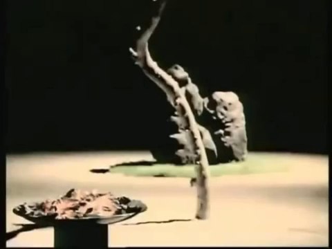 Stephan EICHER - Déjeuner en paix ( reprise ) 2014