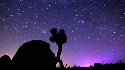 JOSHUA TREE TIMELAPSE JOURNEY 2
