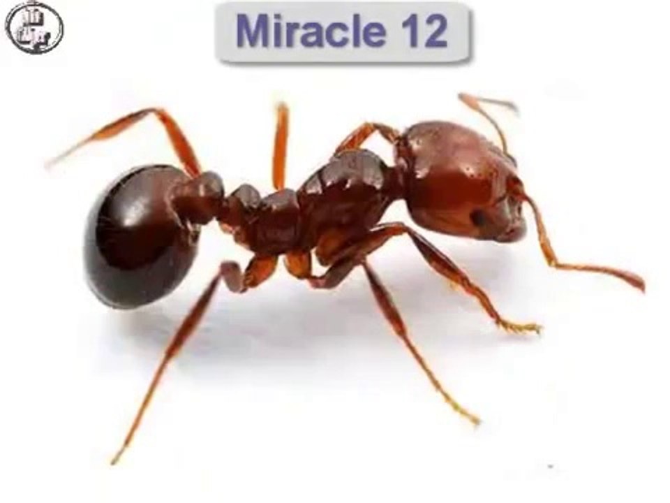 Fifteen Scientific Miracles of the Holy Quran! Some have never been known!