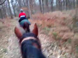 19.02.2014.j.gege.tenebra