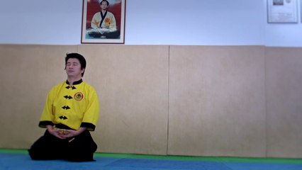 Hoang Nghi - Le portrait Kombat Sport